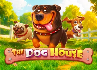 The Dog House ufa666